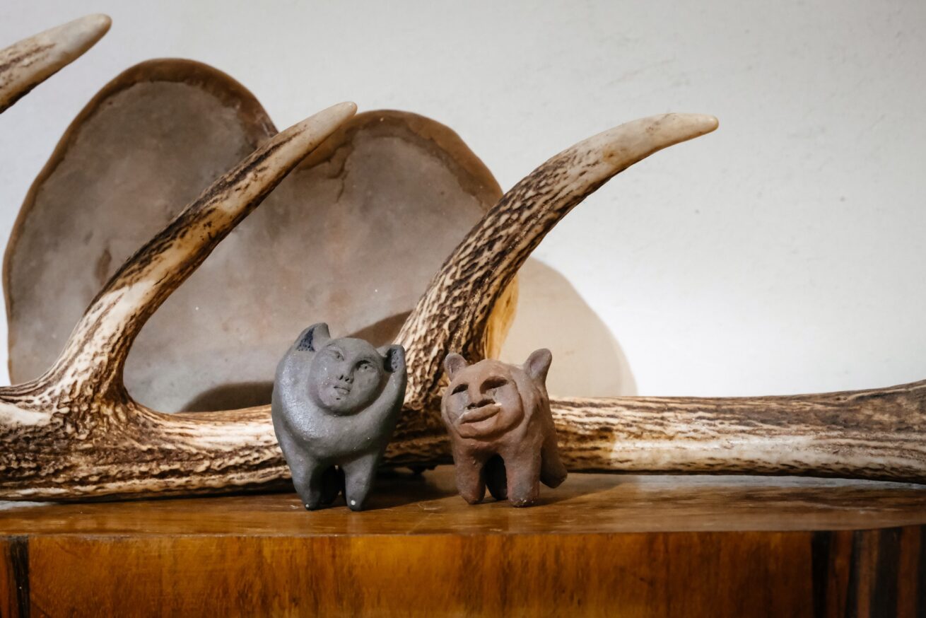 481211877_561838876898684_8845467095144473027_n