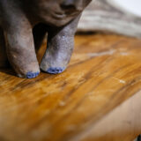 aurelie poncon sculptures - photo lucyy WEB10