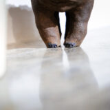 aurelie poncon sculptures - photo lucyy WEB60