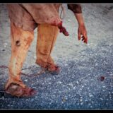 cie la petite faucheuse©lucyy mahe-54