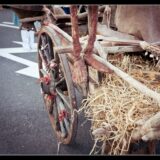 cie la petite faucheuse©lucyy mahe-70