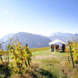 clairette de die - photo lucyy mahe l angle de vue100