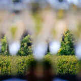 clairette de die - photo lucyy mahe l angle de vue101