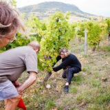 clairette de die - photo lucyy mahe l angle de vue13