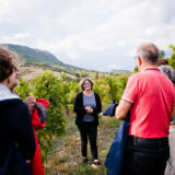 clairette de die - photo lucyy mahe l angle de vue14