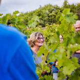 clairette de die - photo lucyy mahe l angle de vue15