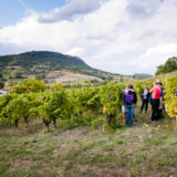 clairette de die - photo lucyy mahe l angle de vue17