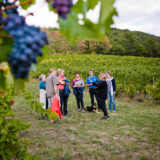 clairette de die - photo lucyy mahe l angle de vue20