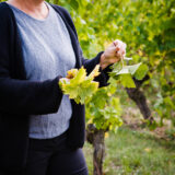 clairette de die - photo lucyy mahe l angle de vue6