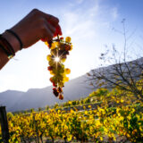 clairette de die - photo lucyy mahe l angle de vue71