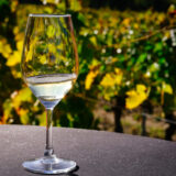 clairette de die - photo lucyy mahe l angle de vue74