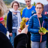 clairette de die - photo lucyy mahe l angle de vue8