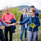 clairette de die - photo lucyy mahe l angle de vue9