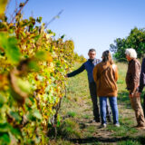 clairette de die - photo lucyy mahe l angle de vue94