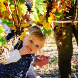 fascinant-week-end-die-photo-l-angle-de-vue54