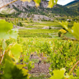 fascinant-week-end-die-photo-lucie-mahe-l-angle-de-vue106