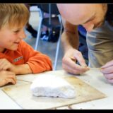 musee prehistoire vercors©lucyy mahe-21