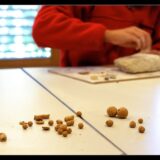 musee prehistoire vercors©lucyy mahe-22