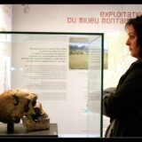 musee prehistoire vercors©lucyy mahe-5