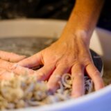 rachellopes-photo-lucyy-mahe49