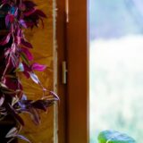 rachellopes-photo-lucyy-mahe77