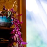 rachellopes-photo-lucyy-mahe78