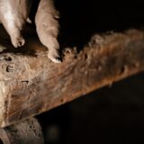 sarah riviere - lucyy photographe15