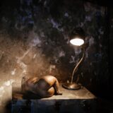 sarah riviere - lucyy photographe23