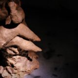 sarah riviere - lucyy photographe34