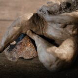 sarah riviere - lucyy photographe43