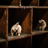 sarah riviere - lucyy photographe53