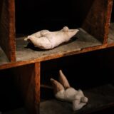 sarah riviere - lucyy photographe57