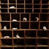 sarah riviere - lucyy photographe63