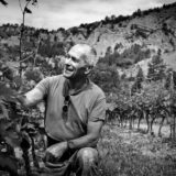 syndicat-de-la-clairette-de-die-photo-lucie-mahe-l-angle-de-vue208lucyy mahe