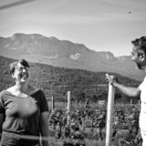 syndicat-de-la-clairette-de-die-photo-lucie-mahe-l-angle-de-vue2lucyy mahe