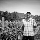 syndicat-de-la-clairette-de-die-photo-lucie-mahe-l-angle-de-vue44lucyy mahe