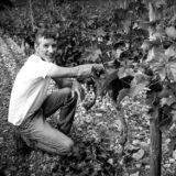 syndicat-de-la-clairette-de-die-photo-lucyy-mahe-lucyy-mahe160 - copie