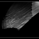 tournage- lucyy photographe20