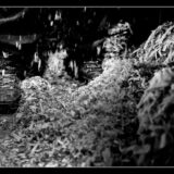 tournage- lucyy photographe35