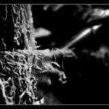 tournage- lucyy photographe39