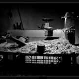 tournage- lucyy photographe4