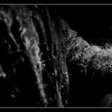 tournage- lucyy photographe42