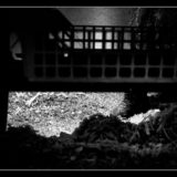 tournage- lucyy photographe48