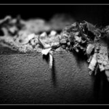 tournage- lucyy photographe5