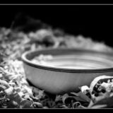 tournage- lucyy photographe66